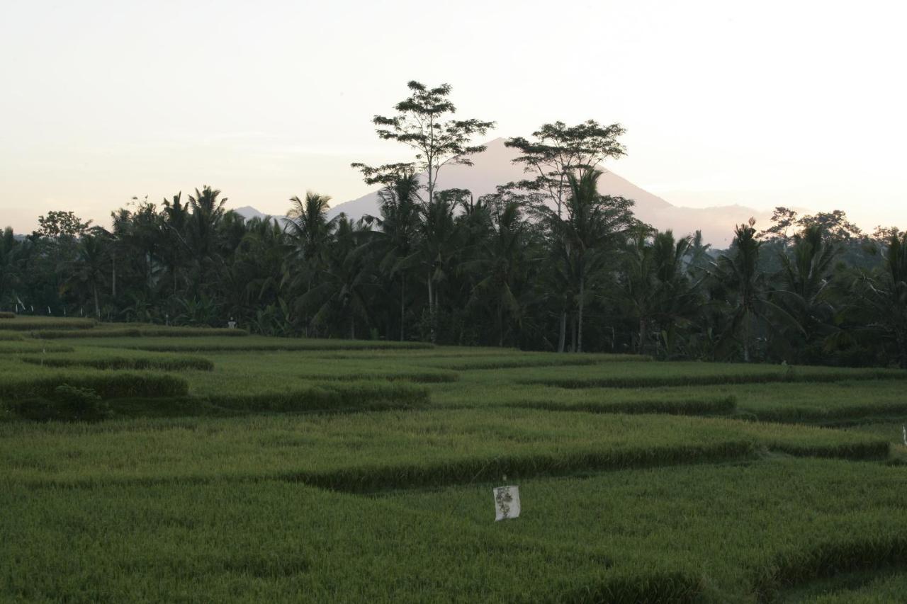 Viceroy Bali Hotel Ubud  Exterior photo